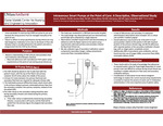 Intravenous Smart Pumps at the Point of Care: A Descriptive, Observational Studay by Karen Giuliano RN, Jeannine Blake RN, and Nancy Bittner RN