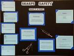 Sharps Safety by Alysha Bastine RN, Stacey Charon RN, Olga Karcha RN, and Christopher Hibbard RN